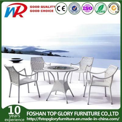 Garden Furniture Outdoor Rattan Dining Table Set with Cushion (TG-1216)