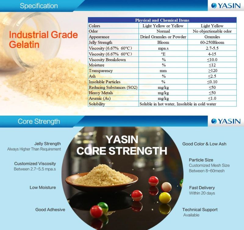 Technical Gelatin for Making Economic Price