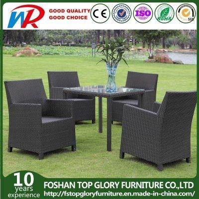Outdoor Rattan Wicker Garden Patio Furniture Dining Chair Table Set with Glass (TG-1663)
