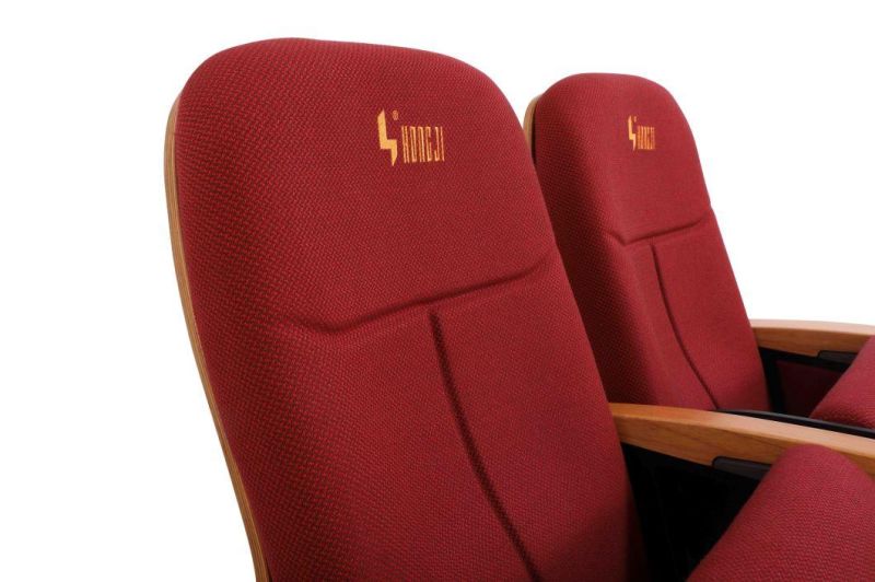 Media Room School Audience Lecture Hall Public Church Theater Auditorium Chair