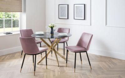 Home Furniture Dining Room Chairs Modern Leather
