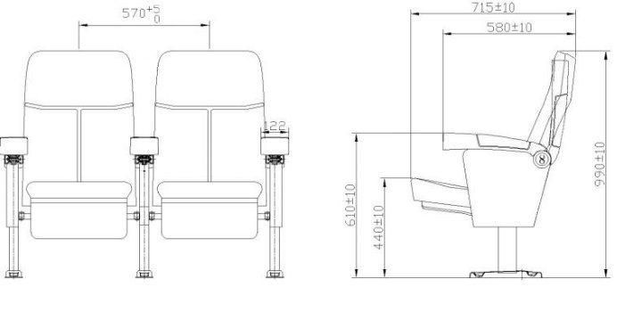 Luxury Home Theater Multiplex Leather Cinema Auditorium Movie Theater Chair