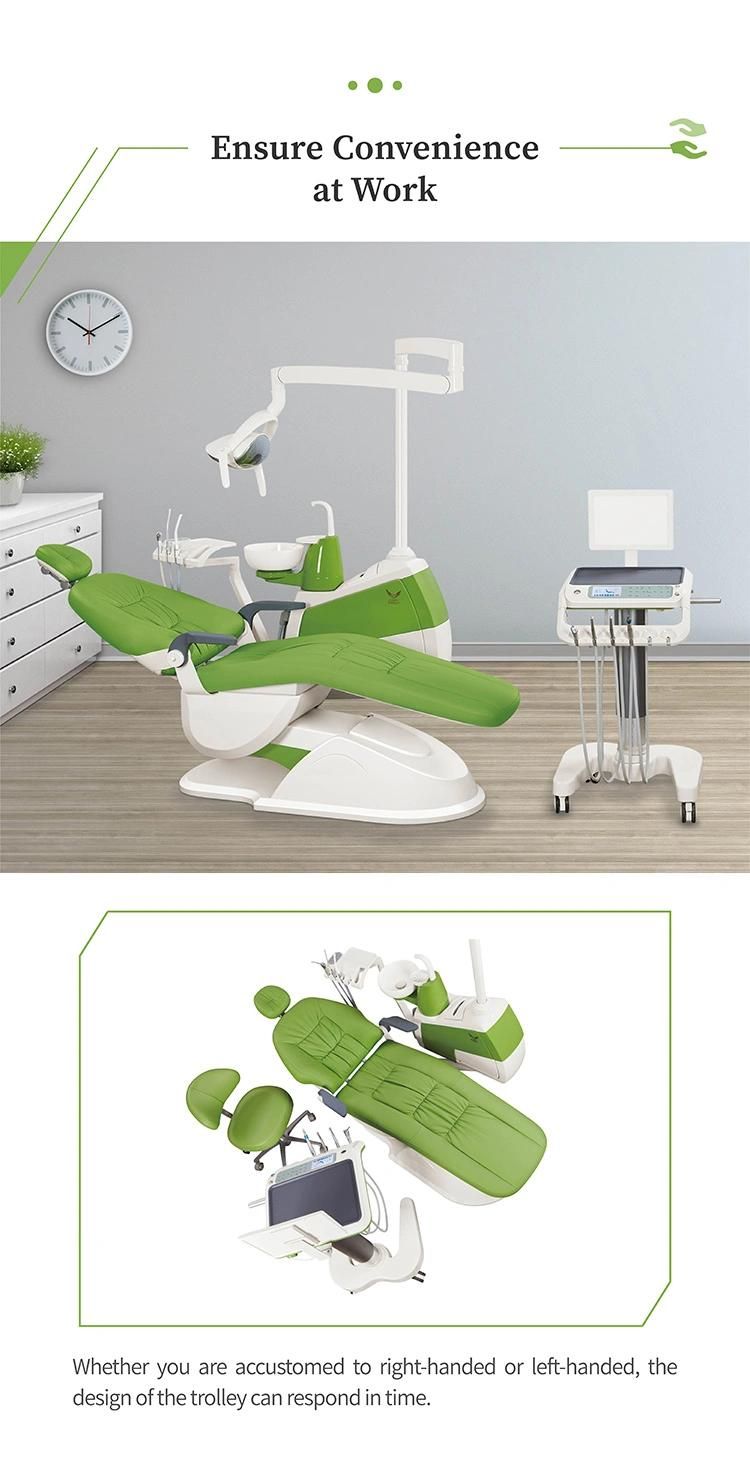 Top Quality Ce Approved Dental Chair Tooth Chair/Dental Hygiene Chairs for Sale/Dental Unit Prices