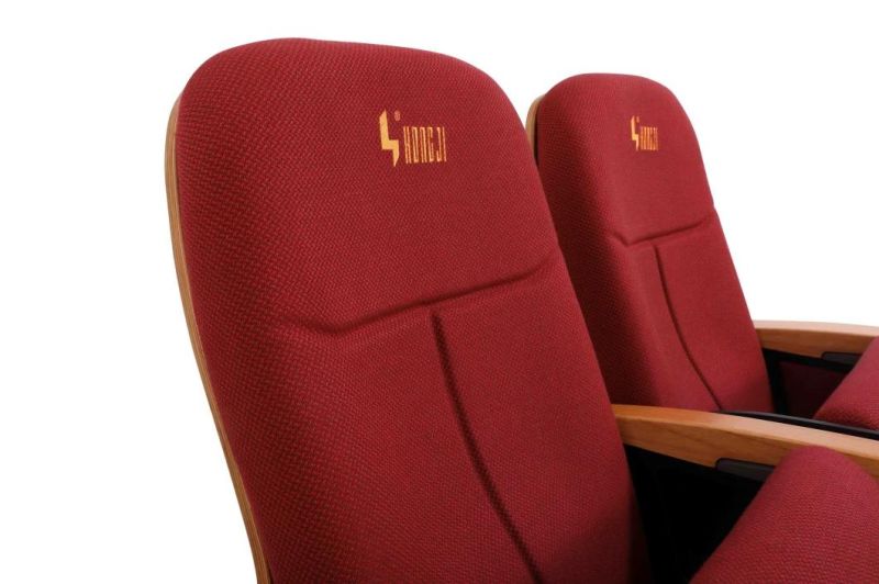 Audience Office School Stadium Public Church Theater Auditorium Seating