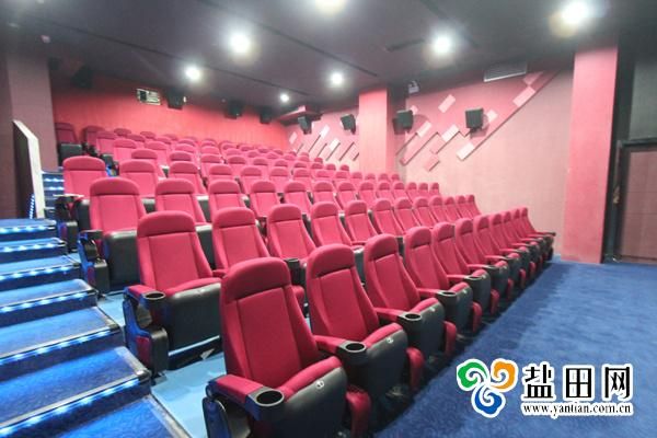 2D/3D Luxury Multiplex Leather Movie Cinema Auditorium Theater Seating