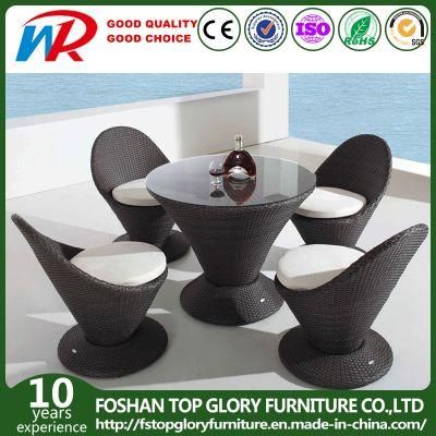 Modern Home Rattan Outdoor Wicker Furniture Garden Dining Table and Chair Set (TG-1206)