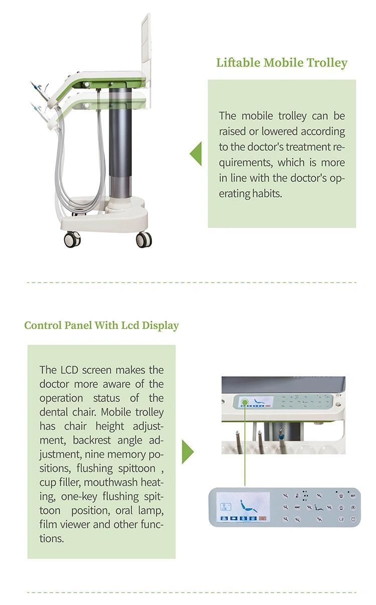 Top Quality Ce Approved Dental Chair Tooth Chair/Dental Hygiene Chairs for Sale/Dental Unit Prices