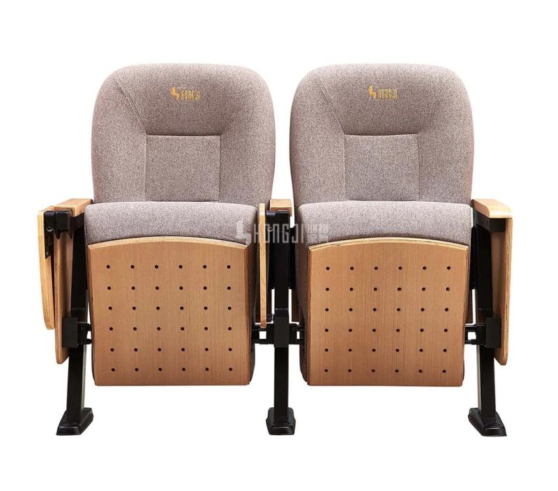 Cinema Economic Audience School Stadium Church Theater Auditorium Seat