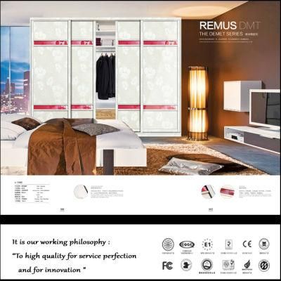 2017 New Walk in Wardrobe for Home Furniture
