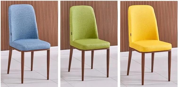 Modern Colored Dining Chair