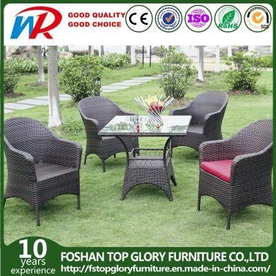 Unfolding Rattan Chair/Rattan Chair and Rattan Chair Set (TG-510)