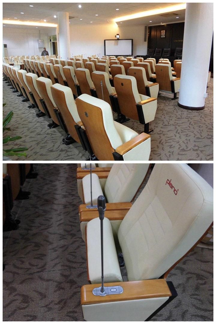 Office Classroom Conference Audience Lecture Hall Theater Church Auditorium Furniture