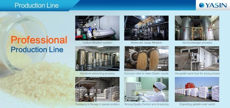 Technical Gelatin for Making Economic Price