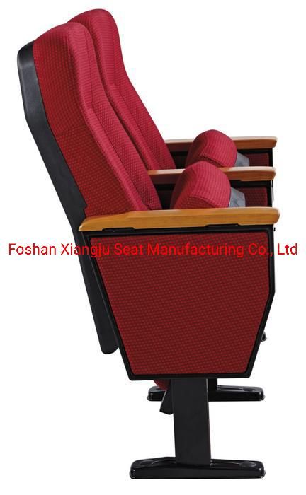 Auditorium Theater Seating Waiting Concert Stadium Church Lecture Meeting Conference Room School University College Hall Seat Movie Cinema Auditorium Chair