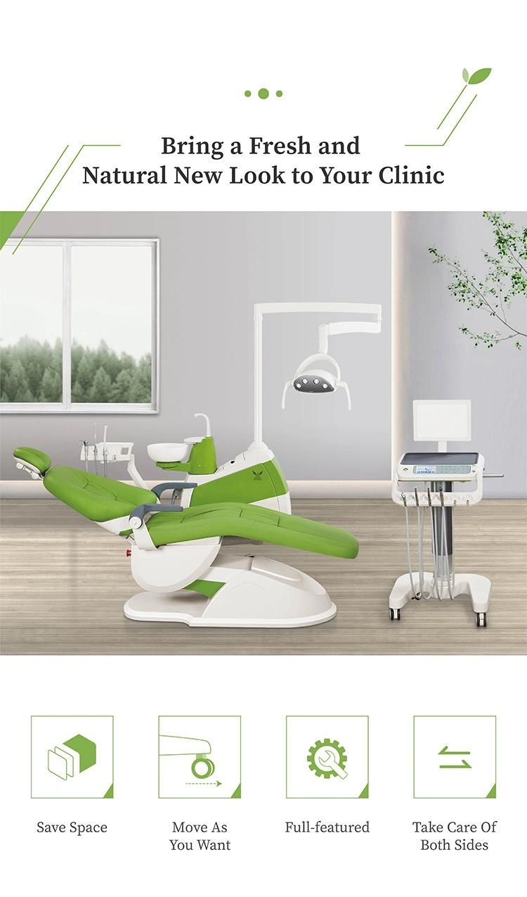 Rotatable Armrest Ce Approved Dental Chair Dental Equipment Service/Baseless Dental Chair/Dennest Furniture