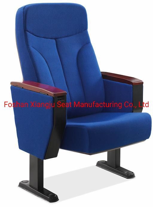 Public Lecture Hall School Economic Media Room Church Theater Auditorium Chair