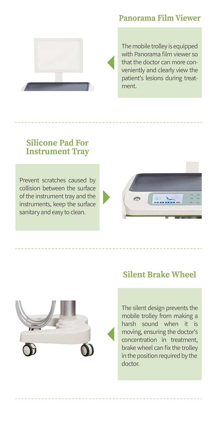 Rotatable Armrest Ce Approved Dental Chair Dental Equipment Service/Baseless Dental Chair/Dennest Furniture