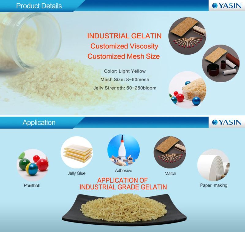 Wholesale Gelatin Industrial Gelatin