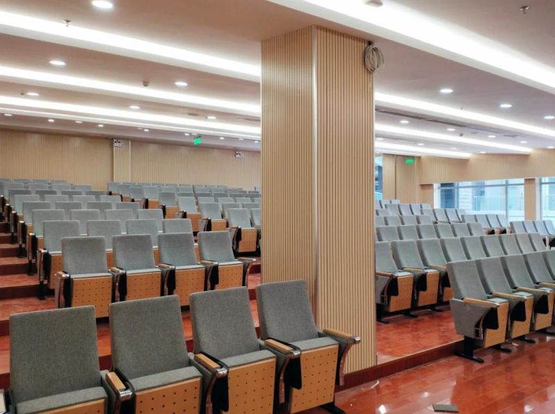 Lecture Hall Economic Classroom School Media Room Theater Auditorium Church Seating