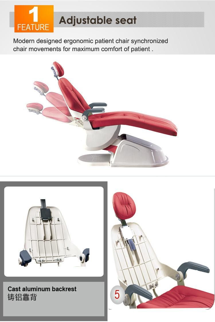 Ce & FDA Approved Luxury Patient Ergonomic Chair with Leather Cushion and Aluminum Backrest